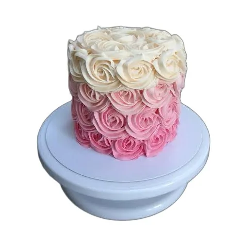 Pink Ombre Rosette Cake