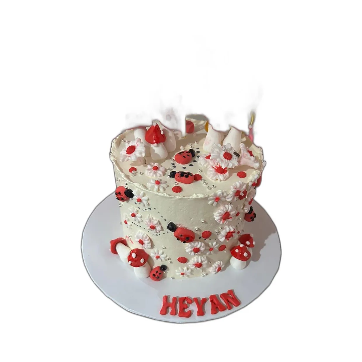 Garden Toadstool Birthday Cake