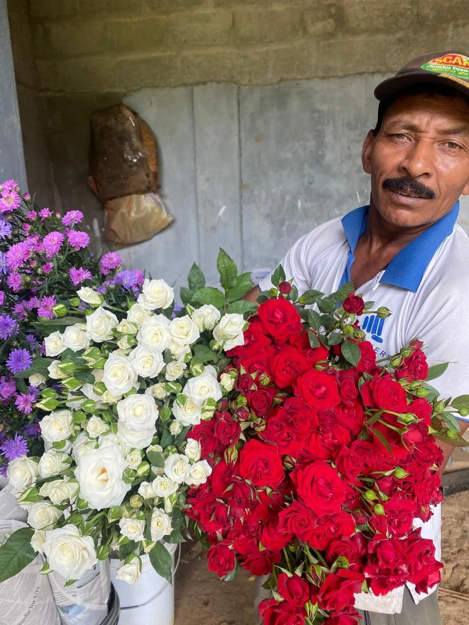 Estate worker presenting red and white rose harvests